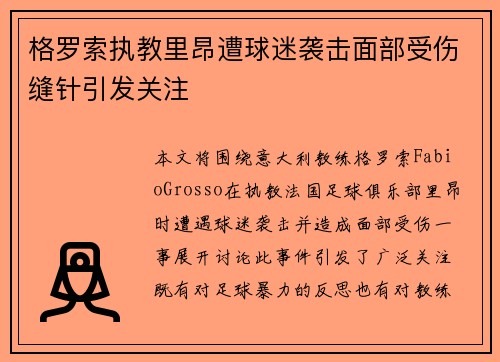格罗索执教里昂遭球迷袭击面部受伤缝针引发关注