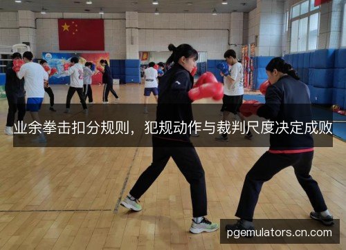 业余拳击扣分规则，犯规动作与裁判尺度决定成败
